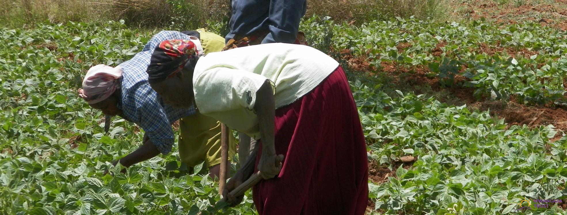 Food Security