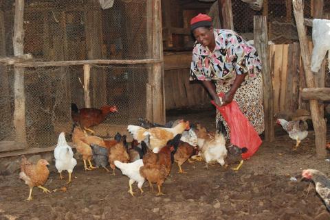 Economic Empowerment