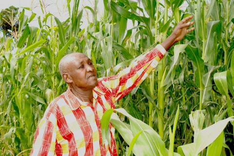 Food Security
