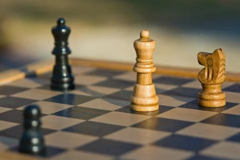 Mentorship and Leadership Development